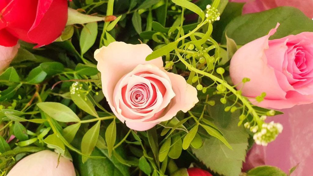 alt="romantic pink roses in a bouquet"